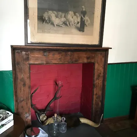 The White Bear-2